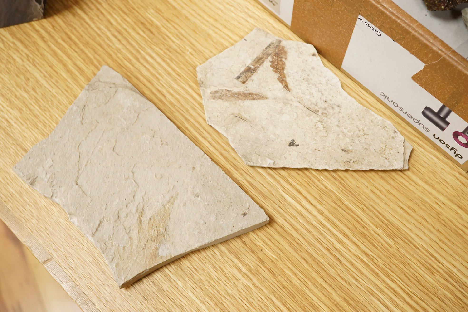 A collection of mineral specimens including quartz, together with fossilised leaves and ammonites on matrix